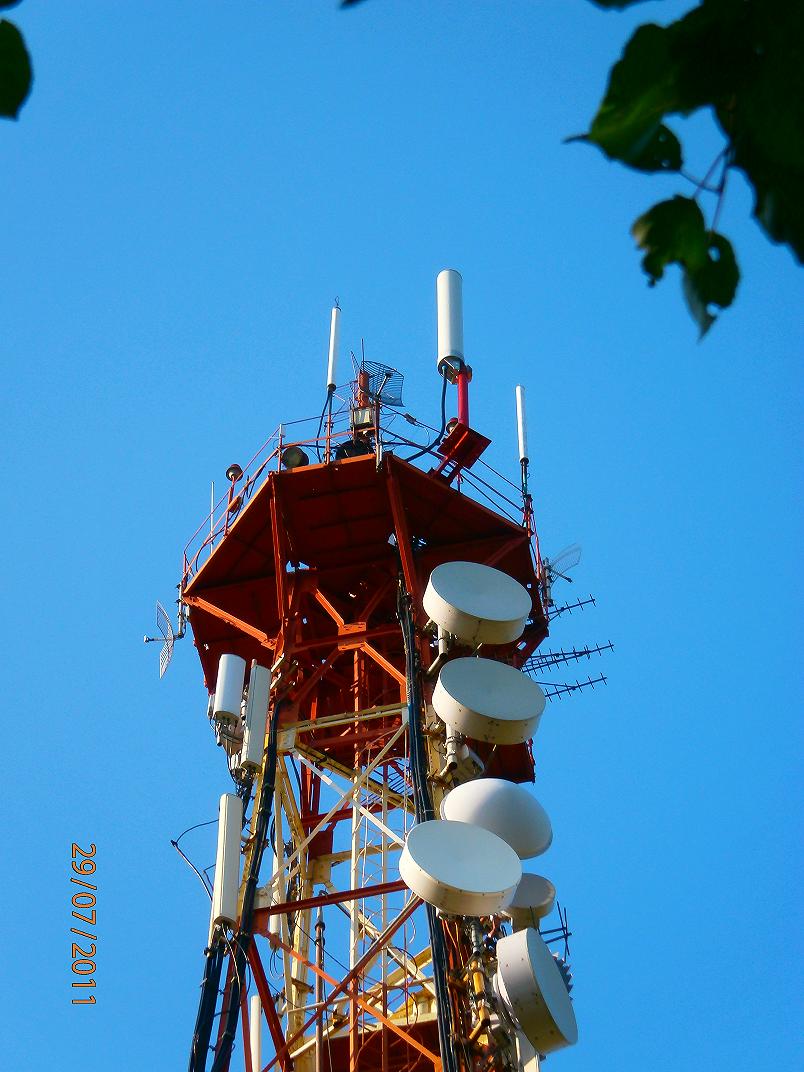 P7290065_1.JPG