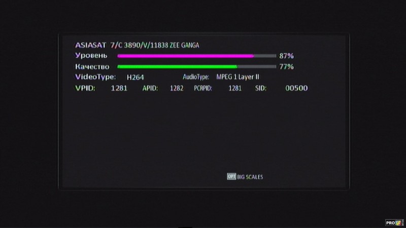 3890V.jpg