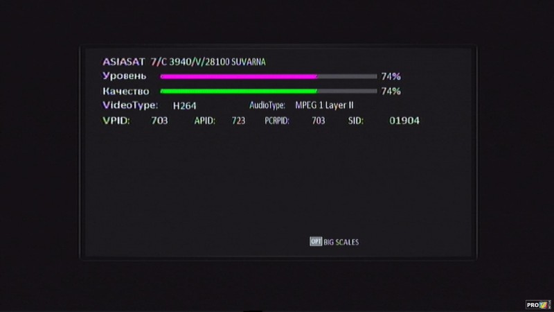 3940V.jpg