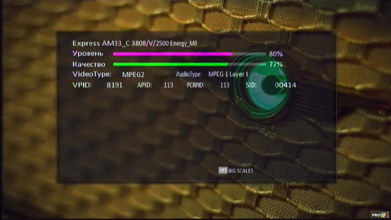 3808V.jpg